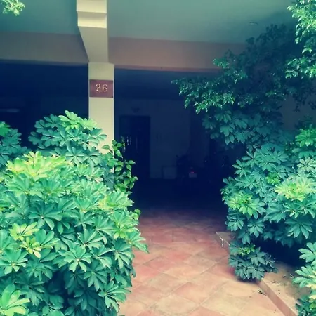 Kolokotroni's *